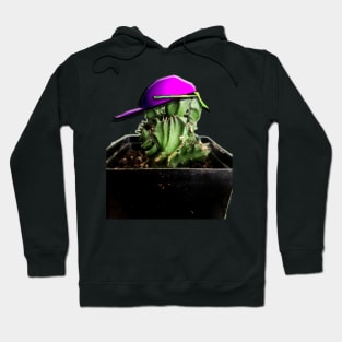 Cooler Cactus Hoodie